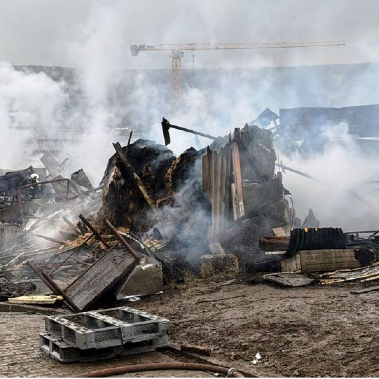  Yangında 50 küçükbaş hayvan öldü