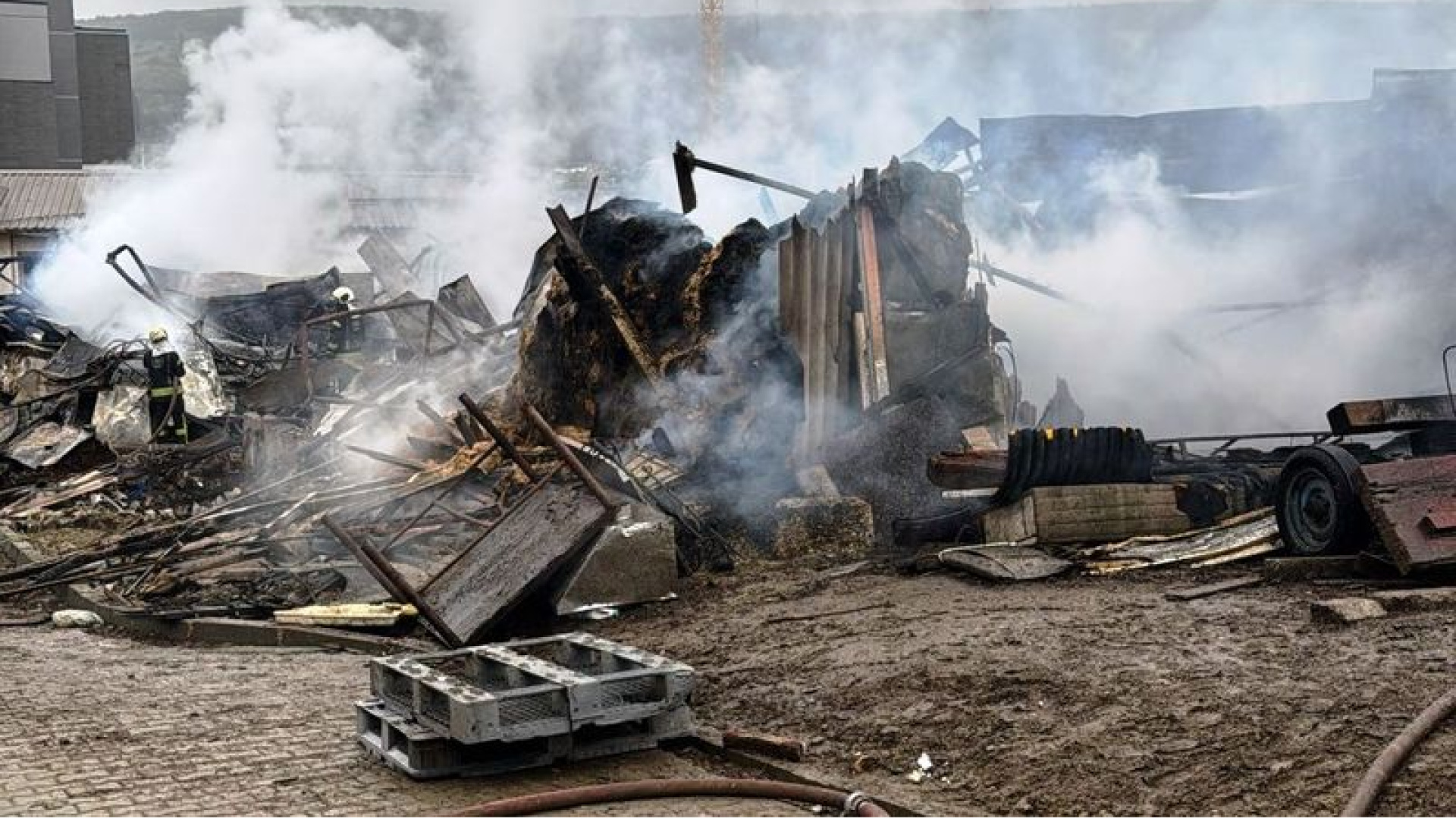 Kocaeli'de ahırda çıkan yangında 50 küçükbaş öldü