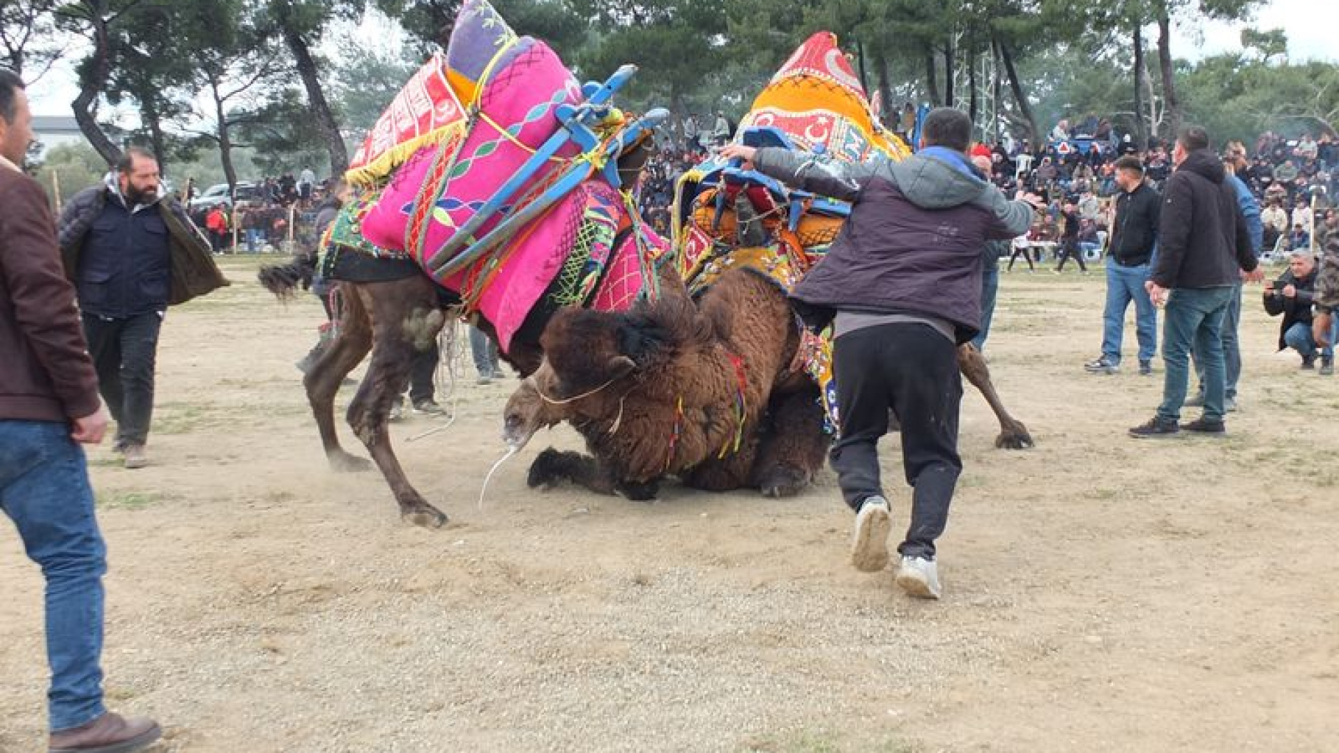 Bir yıl sonra antrenman güreşi ile döndüler | Son dakika haberleri