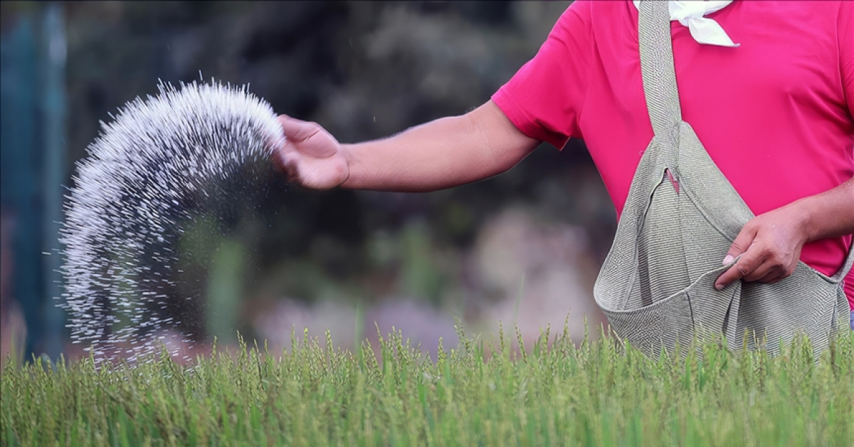 Hürmüz Boğazı Kapanması Gübre Fiyatlarını Yüzde 50 Artır