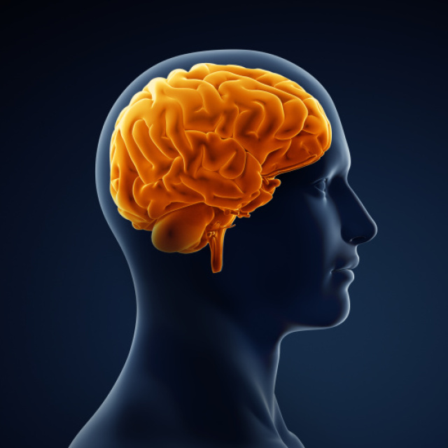 Yaşlılarda kötü ağız sağlığı Alzheimer riskini 4 kat artırıyor