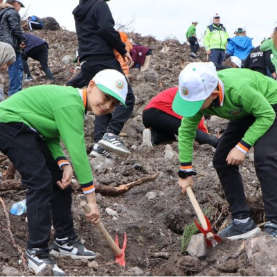 Manisa'da 30 bin fidan dikilecek