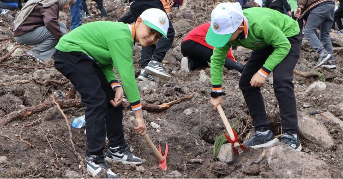 Manisa'da 2025 Orman Yangınından Kurtulan Alanlara Fidan Dikiliyor