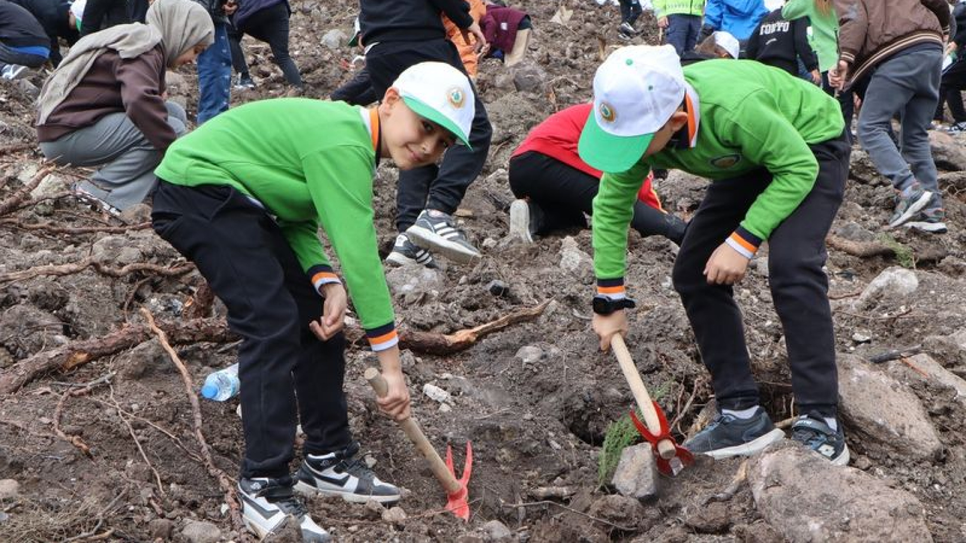 Manisa'da 30 bin fidan dikilecek | Son dakika haberleri