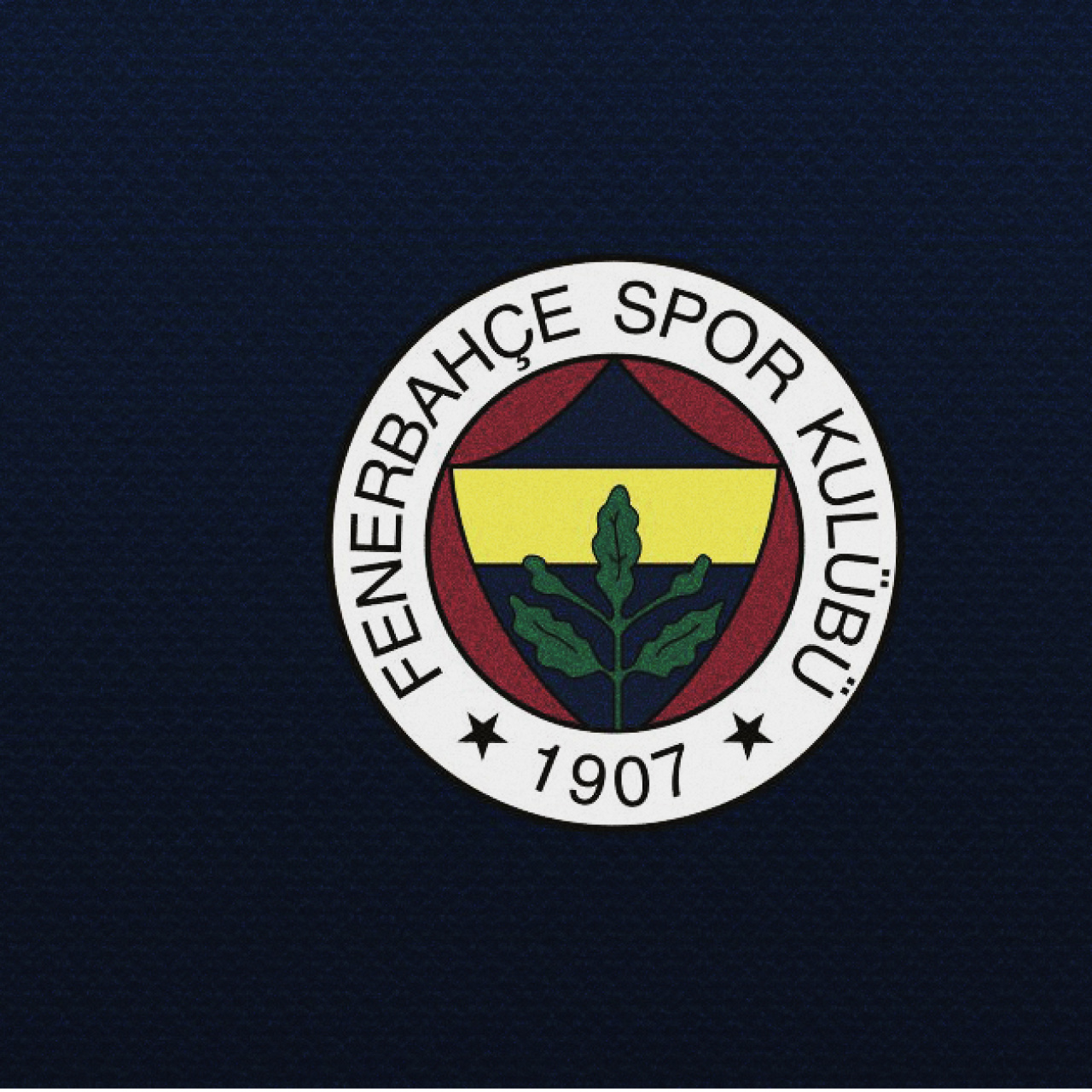 F.Bahçe'de sermaye tavanı arttırıldı