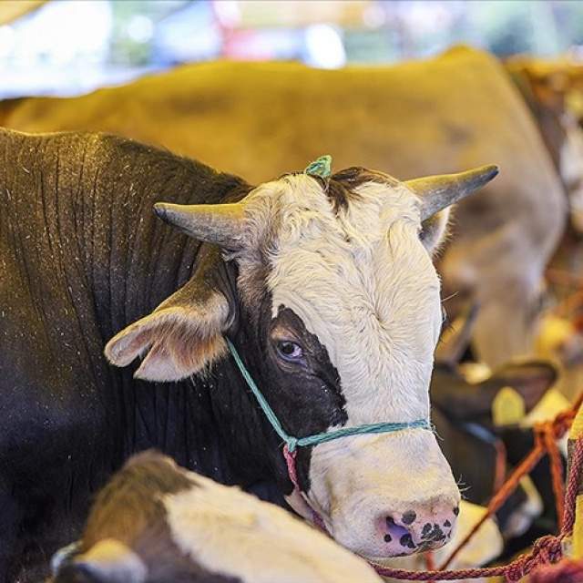Kurban Bayramı tatili kaç gün sürecek?