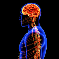 Migrenin beyindeki görsel işlemleme ve ağrı mekanizmalarıyla ilişkisi ortaya kondu