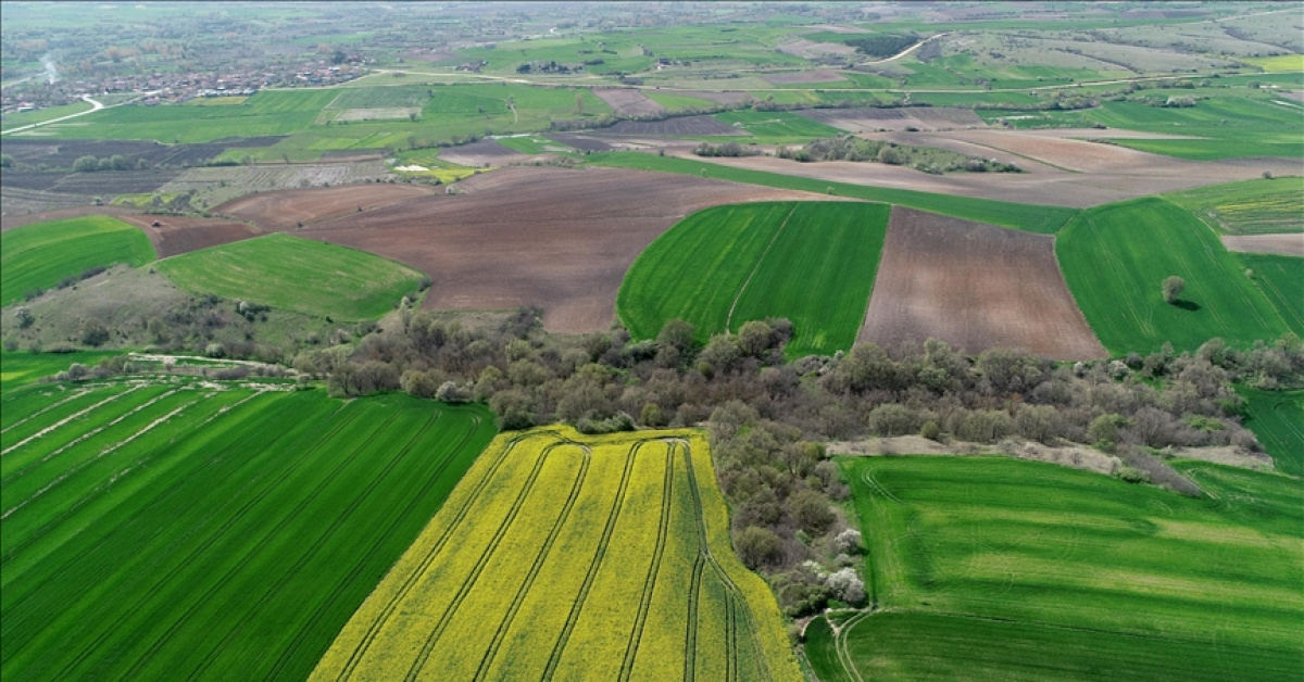 42 İlde 390 Arsa Satışı 2026'da Başlıyor