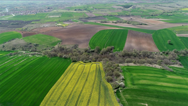 42 ilde 390 muhtelif arsa satışa çıkıyor