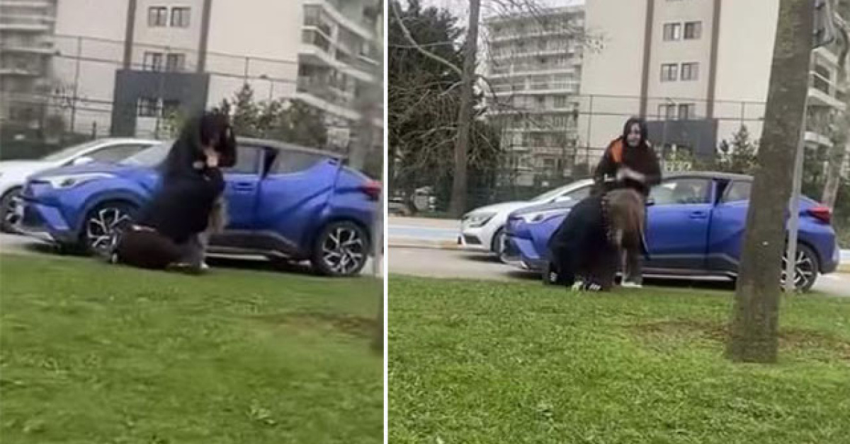 İstanbul'da Kadınlar Arasında Trafik Kavgası