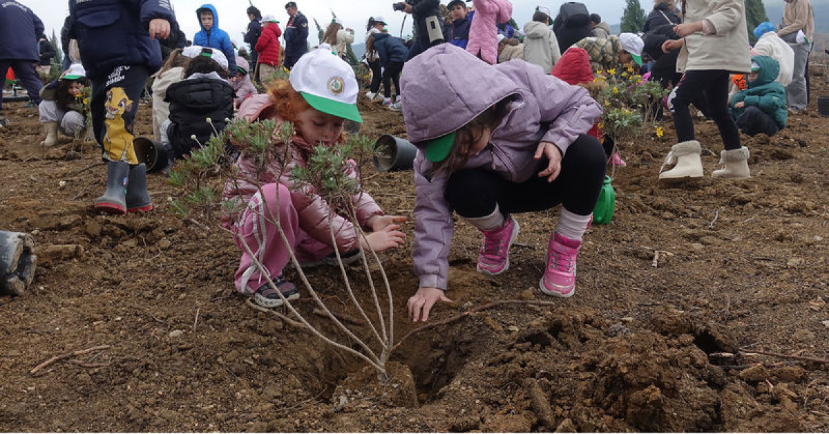 İzmir'de 100 bin fidan dikildi - Orman Genel Müdürlüğü