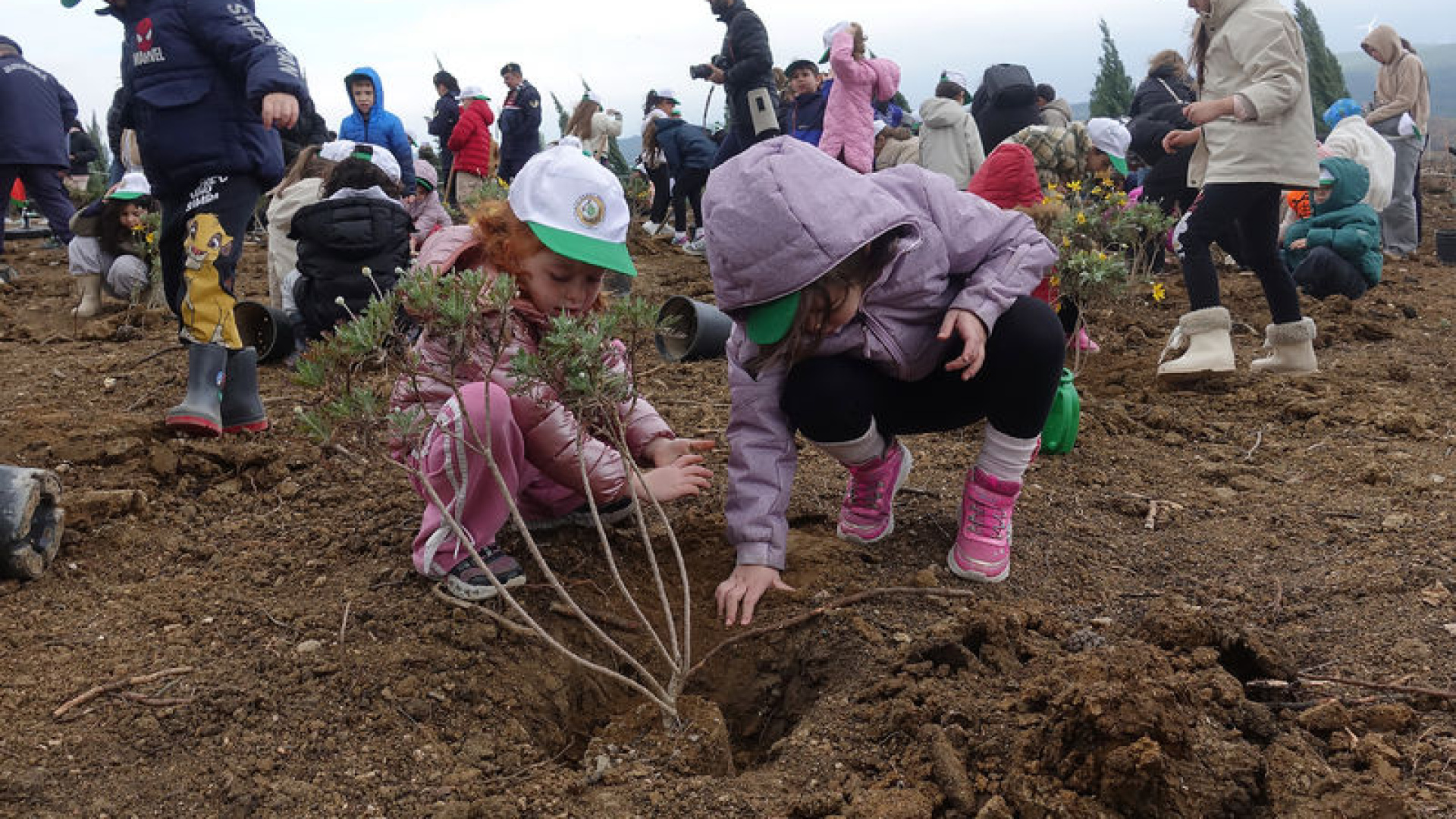 İzmir'de 100 bin fidan dikildi | Son dakika haberleri