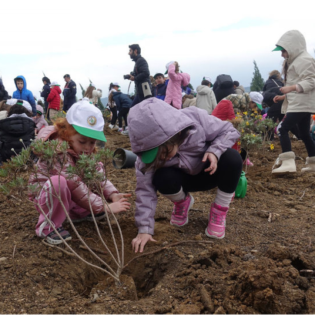 İzmir'de 100 bin fidan dikildi