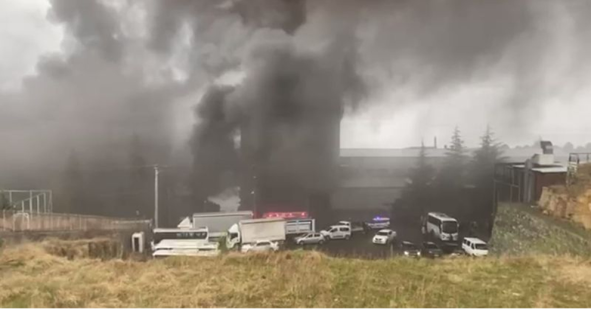 Trabzon'da Fındık Fabrikasında Yangın