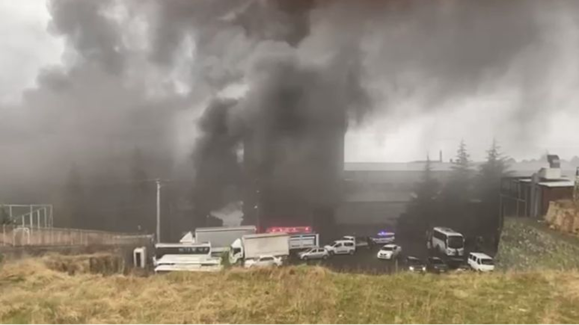 Trabzon'da fındık fabrikasında yangın çıktı