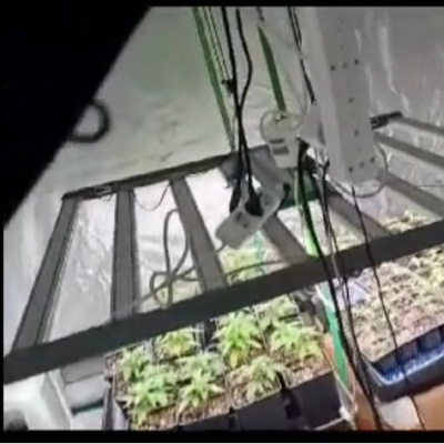 40 adrese uyuşturucu baskını: 36 gözaltı