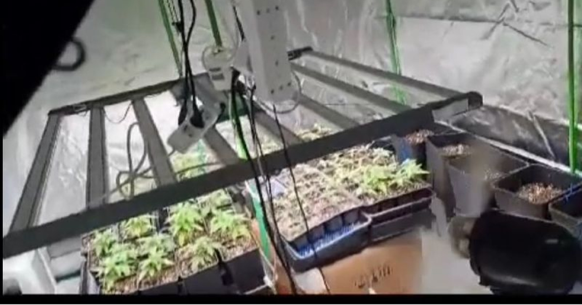 Kocaeli’de 40 Adrese Baskın: 36 Şüpheli Yakalandı