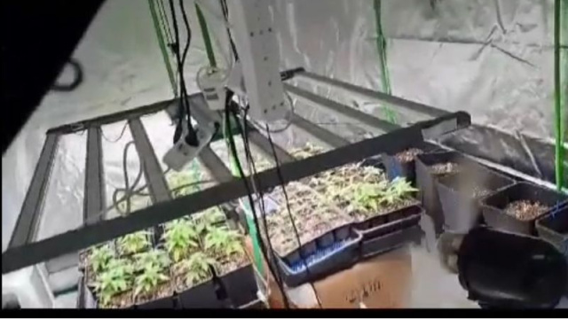 40 adrese uyuşturucu baskını: 36 gözaltı