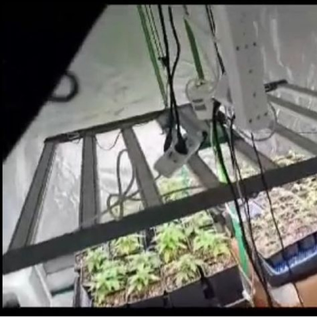 40 adrese uyuşturucu baskını: 36 gözaltı