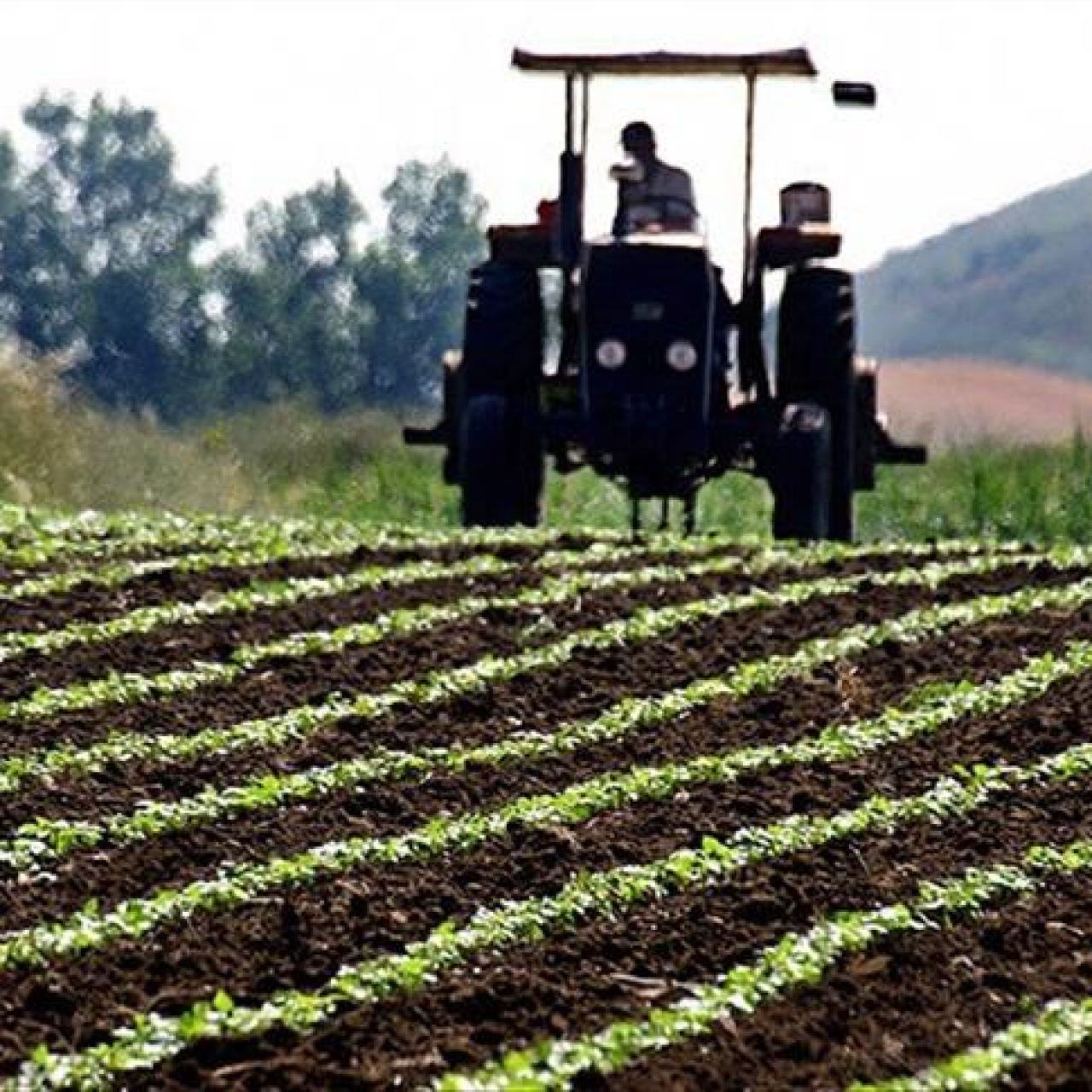 Savaş girdi maliyetlerini etkiledi
