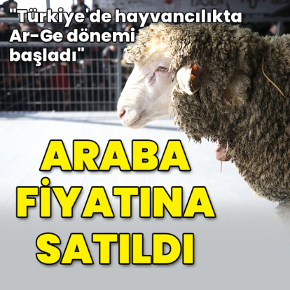 1 milyon 110 bin liraya satıldı