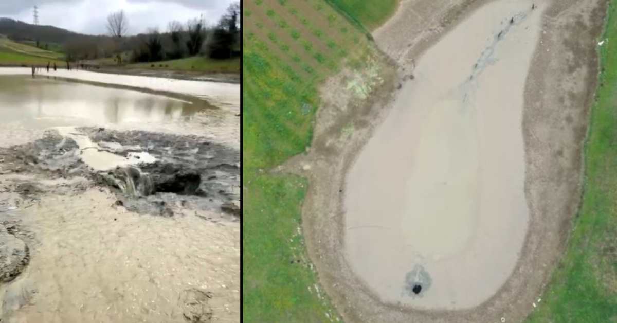 Dımbazlar Göleti suyu sızdırdı, balıklar kayboldu