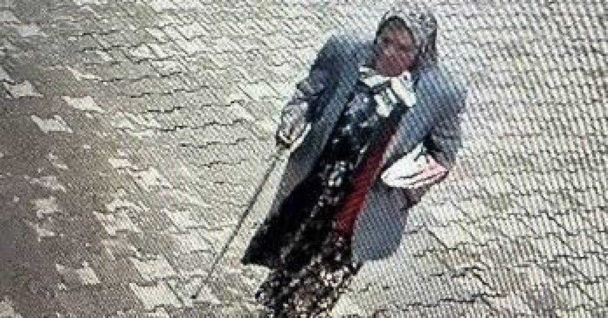 84 yaşındaki Ayşe Kutluay kaybolup acı sonucuna uğradı