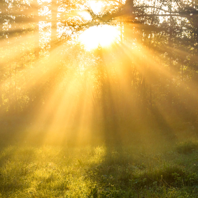 Sıcaklıklar mevsim normallerinin üzerine çıkıyor!