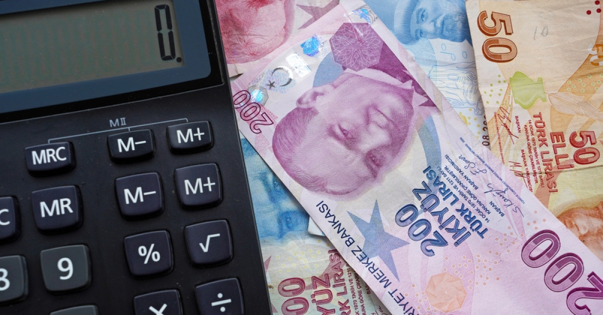 Vatandaşlık Maaşı Uygulaması Başlıyor: Hangi Ailelerin Kapsamında Olac