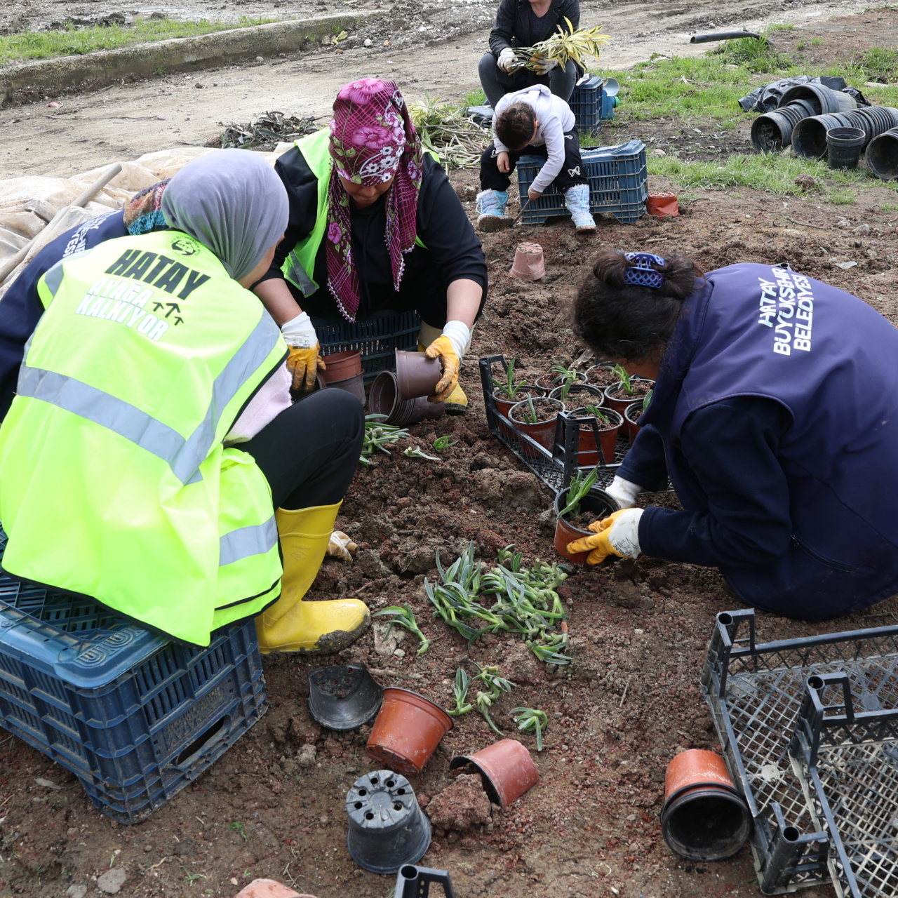 HBB'den bitki ihtiyacı için proje