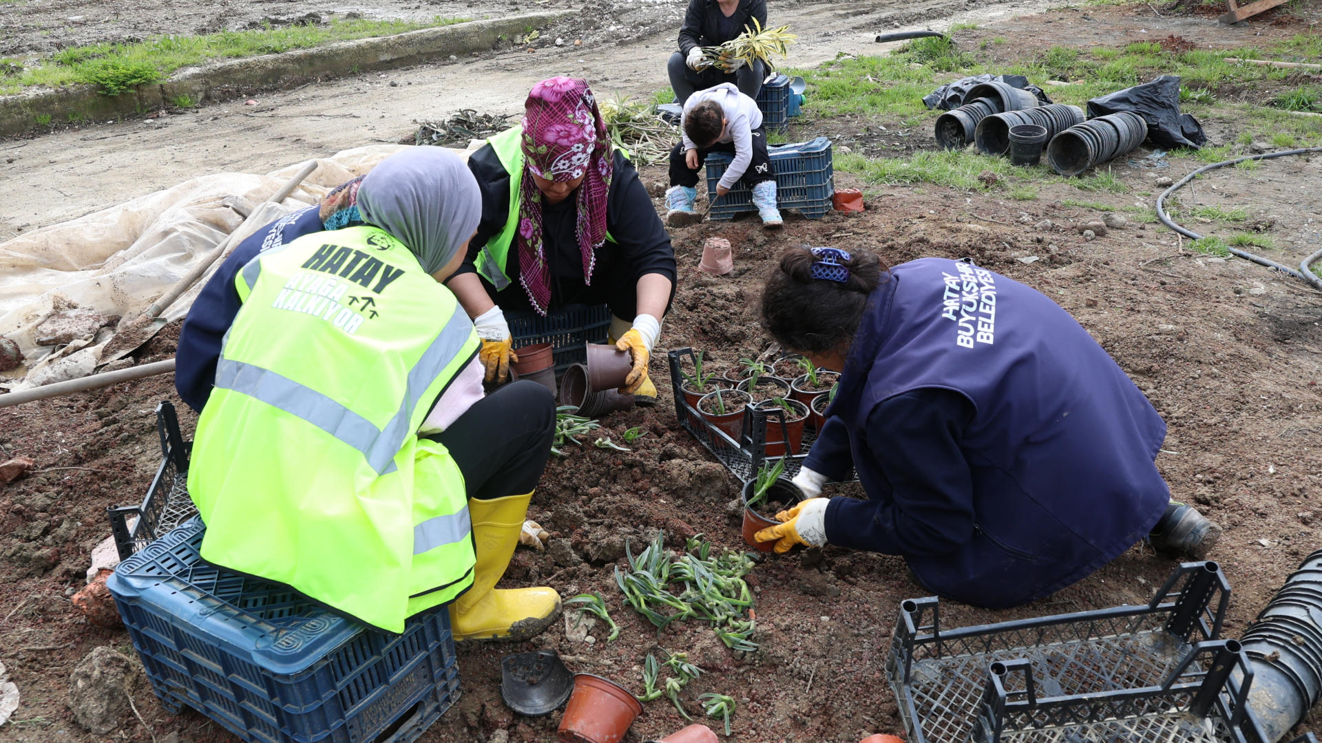 HBB'den bitki ihtiyacı için proje
