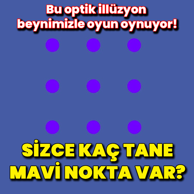 Kaç tane mavi nokta görüyorsunuz?