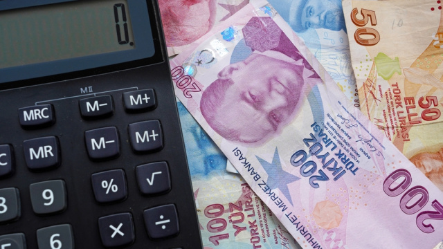 Vatandaşlık maaşı uygulaması başlıyor!