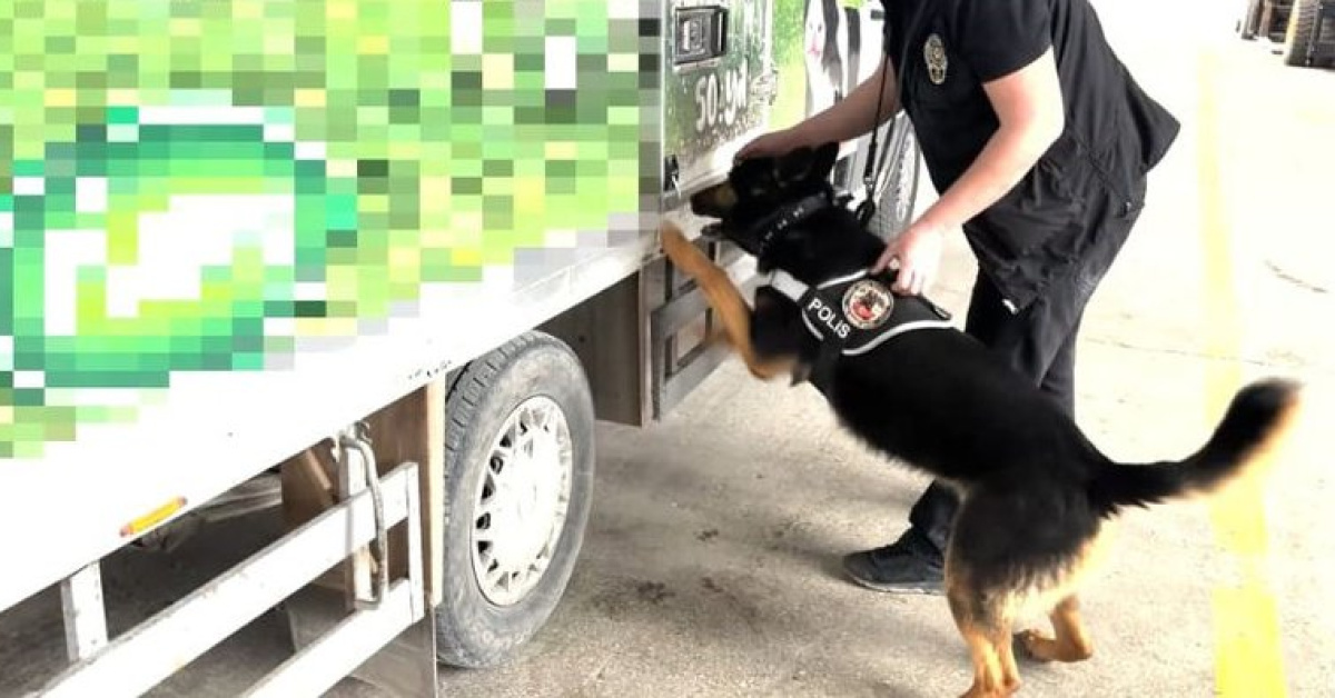 Van'dakamyonette uyuşturucu ele geçirildi