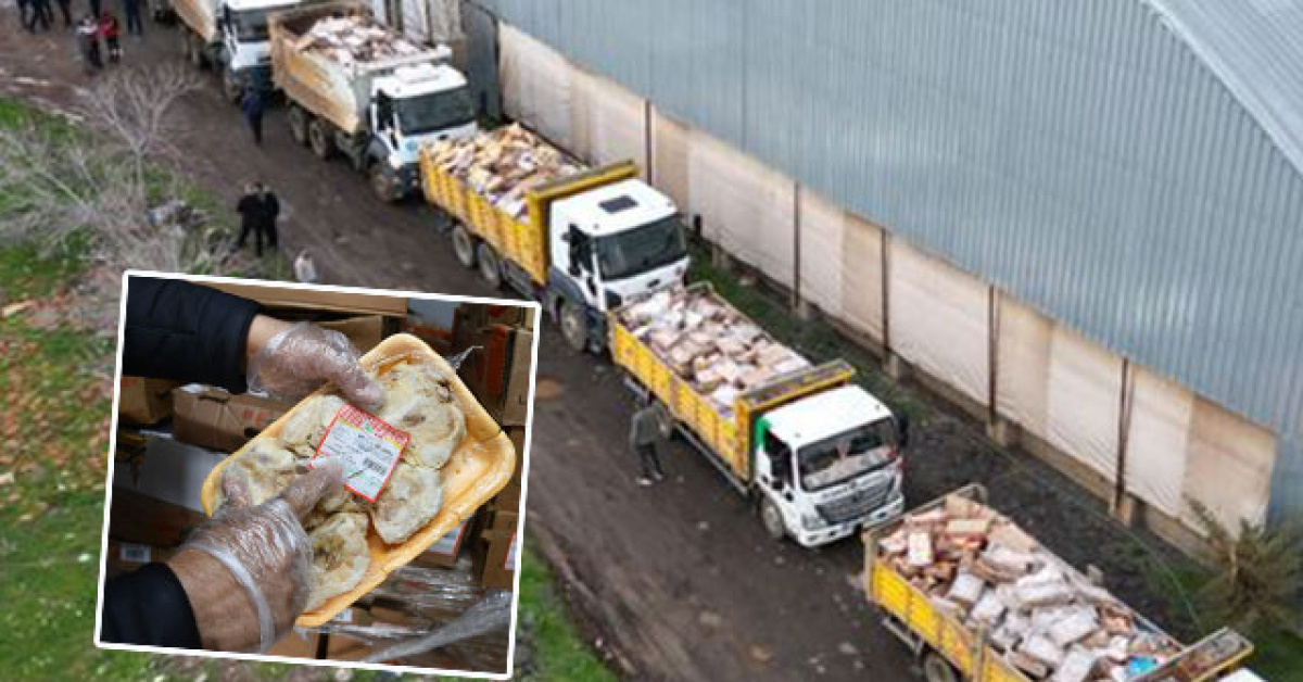 Şiverek'deson kullanma tarihi geçmiş 50 ton tavuk ele geçirildi