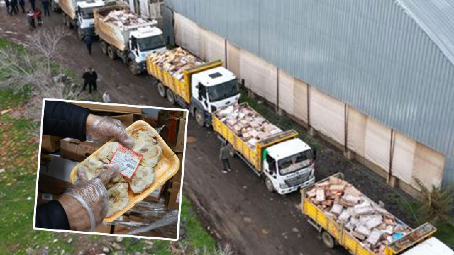 Şanlıurfa'da Tüketim Tarihi Geçmiş 50 Ton Tavuk Ele Geçirildi