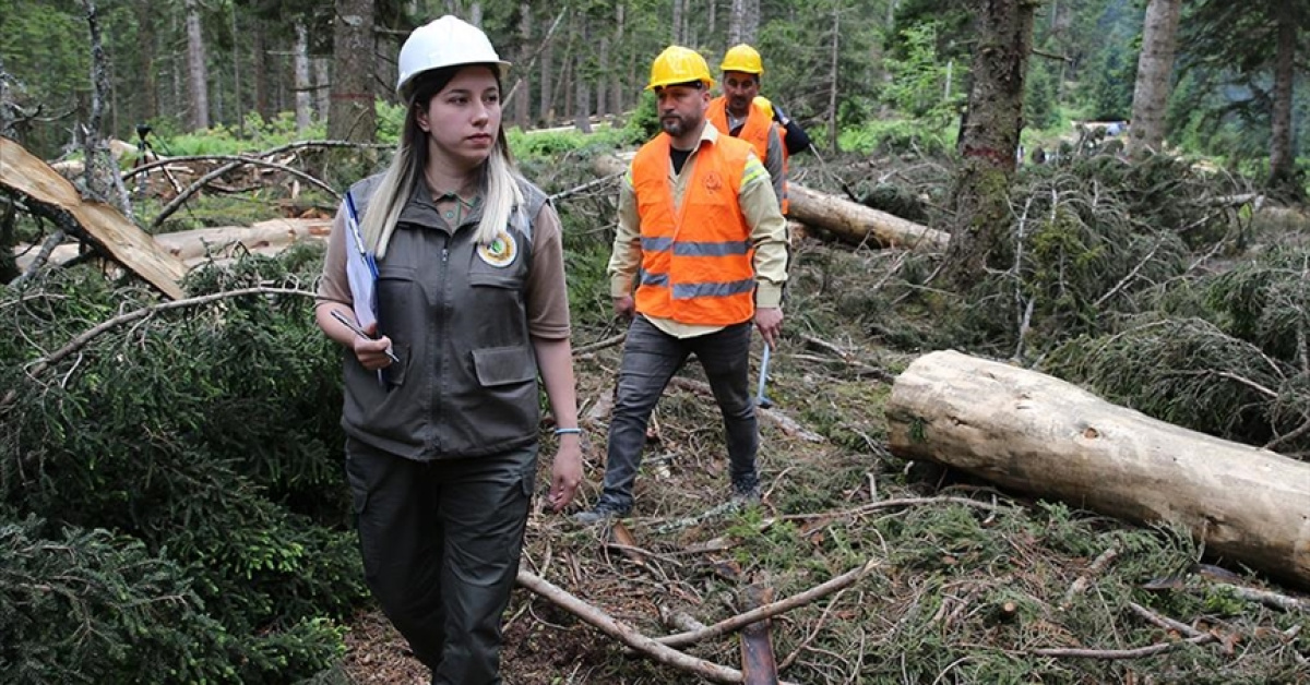 Kamu Kurumları Toplu Taşıma Ücreti Ödemeyecek