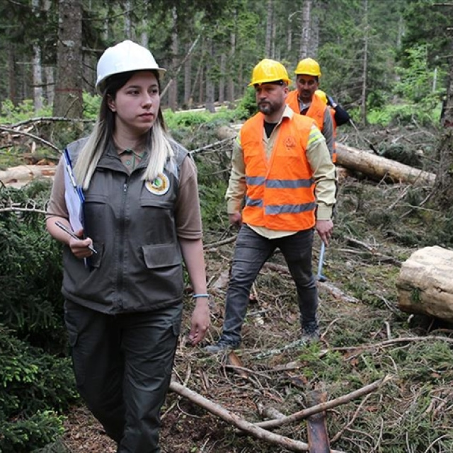 Toplu taşımada 2027 sonuna kadar ücret ödemeyecekler