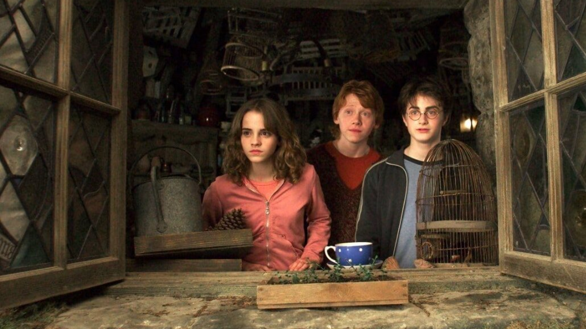 Hogwarts'tan mezun olanlar buraya! Harry Potter sevenlerin severek izleyeceği sizi büyülü evrenlere götürecek film önerileri!