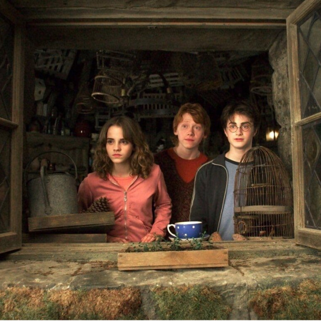 Harry Potter sevenler için özel liste!