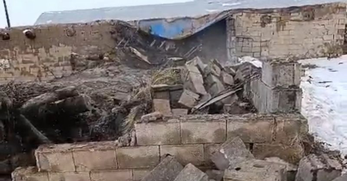 Van'da Aşırı Yağışlarla 20 Küçükbaş Öldü