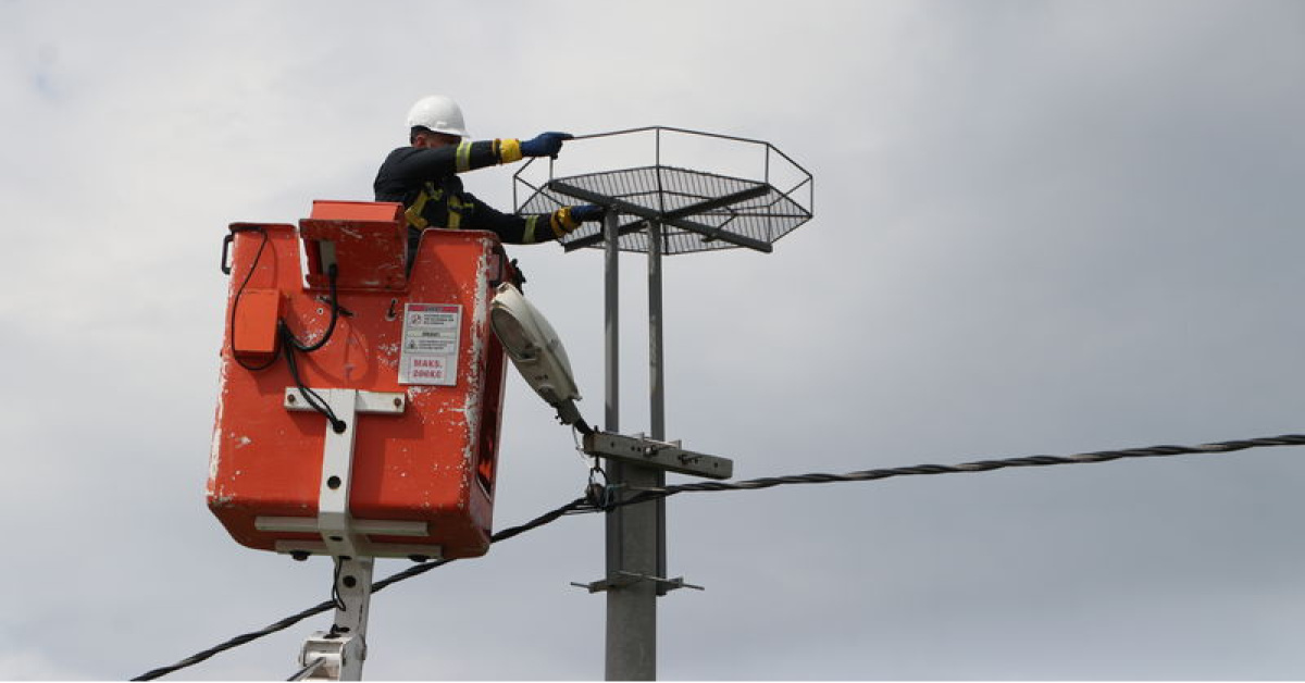 Trakya'da Leylekler için 1000 Platform Kuruldu