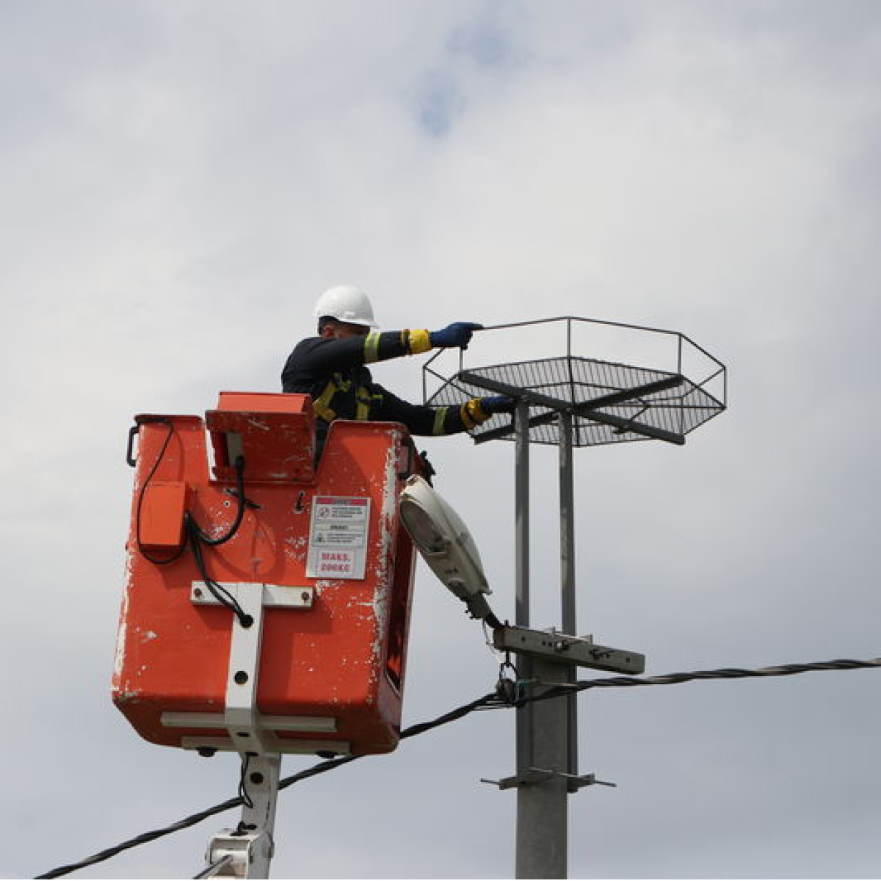 Trakya'da leylekler için 1000 platform