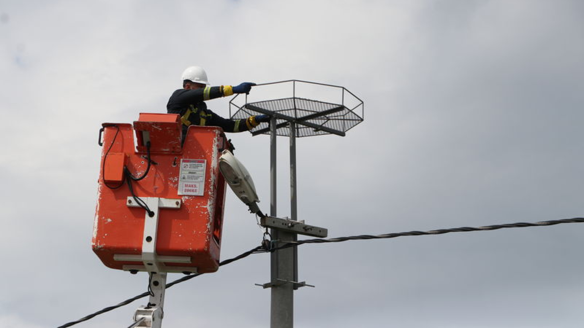 Trakya'da leylekler için 1000 platform | Son dakika haberleri