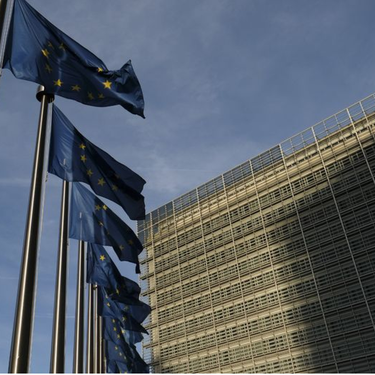 AB resmi sitesine resmi saldırı