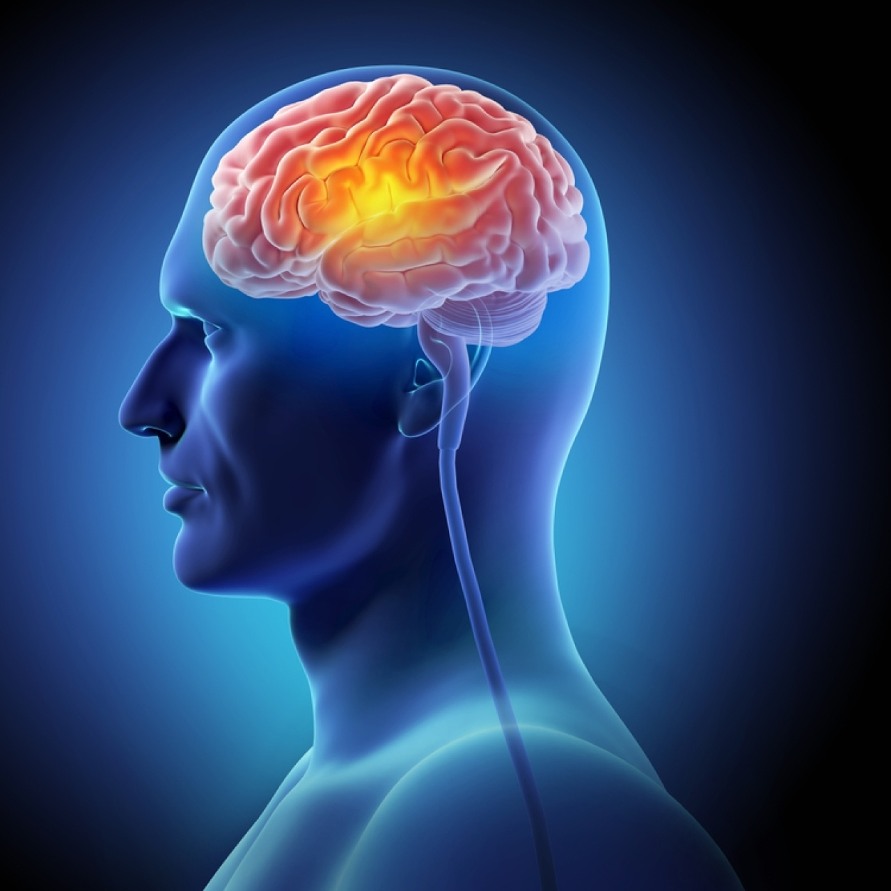 Yeni araştırma: Bu diyet beyin yaşlanmasını yavaşlatıyor