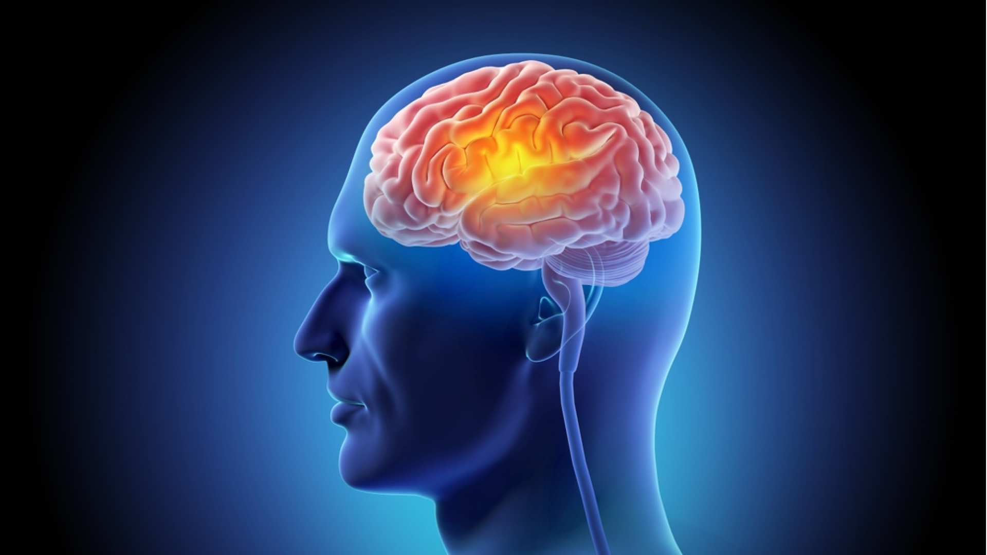 Yeni araştırma: MIND diyeti beyin yaşlanmasını yavaşlatıyor - Haberler | Sağlık Haberleri