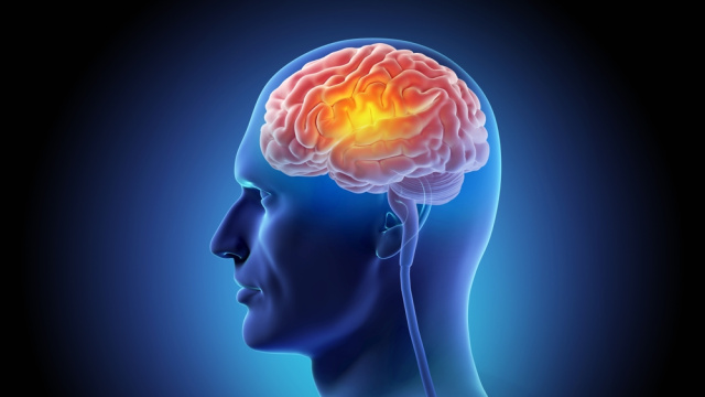 Yeni araştırma: Bu diyet beyin yaşlanmasını yavaşlatıyor