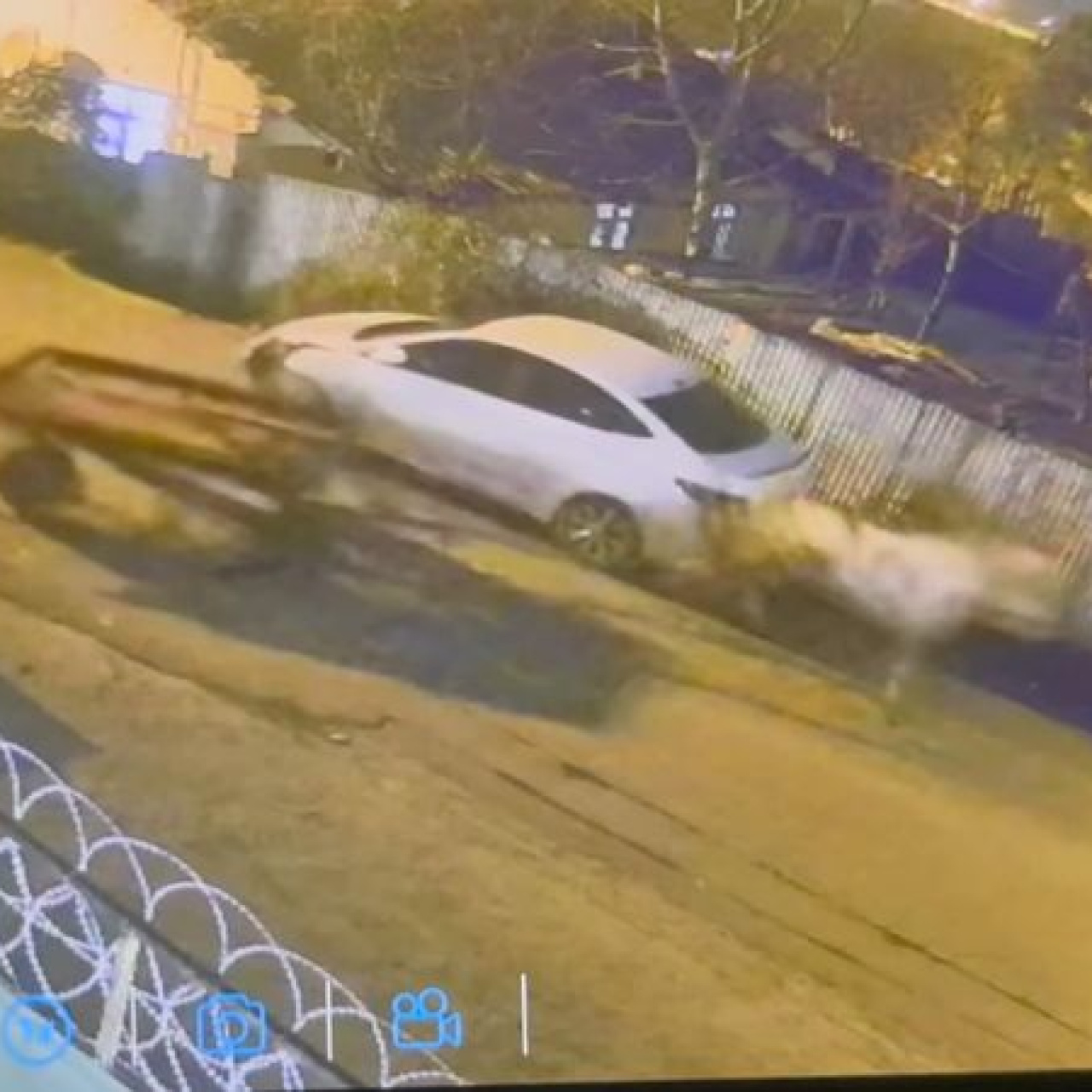 İstanbul'da arabaya at çarptı!