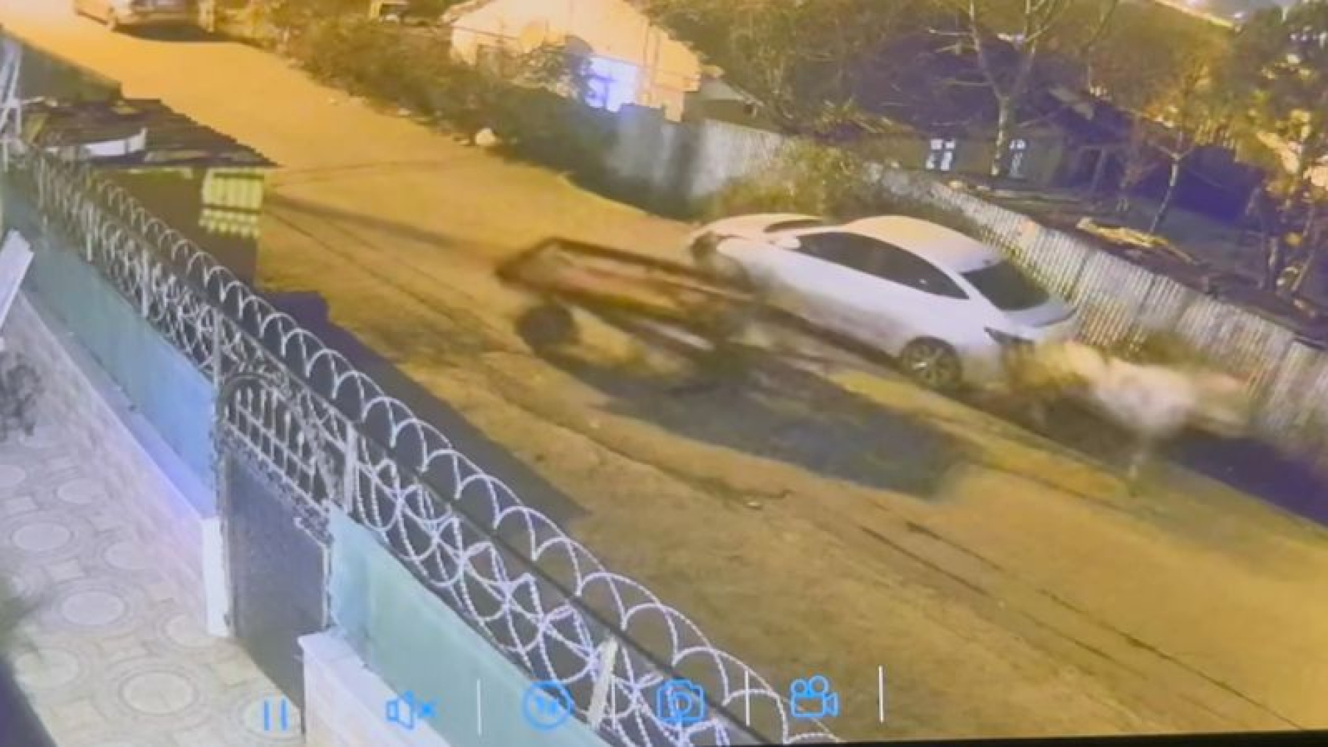 Arnavutköy’de başıboş at otomobillere çarptı: 2 araç hasar aldı